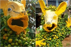 loai chuot khong lo to nhat the gioi xuat hien o ha noi