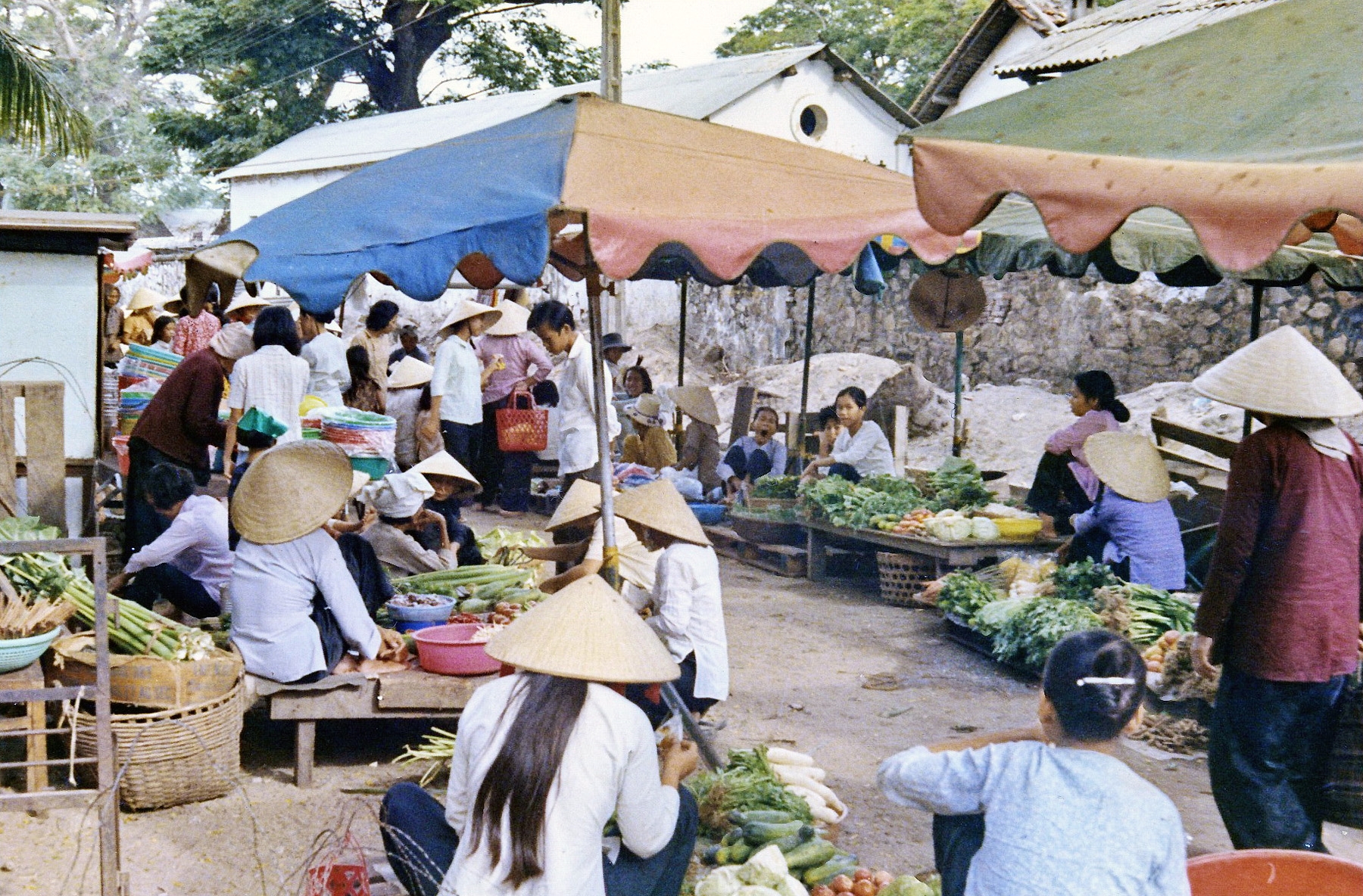Vũng Tàu đẹp hoang sơ và ấn tượng trong bộ ảnh chụp năm 1970 vung tau dep hoang so va an tuong trong bo anh chup nam 1970