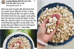 luong hoang anh tiep tuc vang mat khi so tt tt moi lam viec do dua tin that thiet ve toi ly son