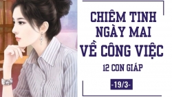 chiem tinh ngay mai 203 ve cong viec cua 12 con giap tuoi ty lam khong het viec