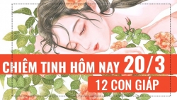 chiem tinh hang ngay 213 6 dieu nen va khong nen cua 12 con giap