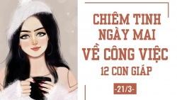 chiem tinh hang ngay 243 6 dieu nen va khong nen cua 12 con giap