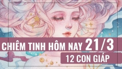 chiem tinh hang ngay 243 6 dieu nen va khong nen cua 12 con giap