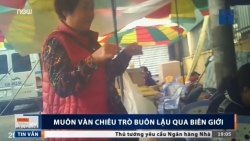 co gi khi di du lich o cat ba