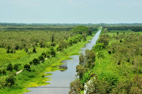 Khám phá vẻ đẹp hoang sơ của Vườn Quốc gia U Minh Thượng kham pha ve dep hoang so cua vuon quoc gia u minh thuong