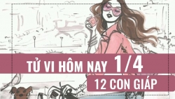 tu vi hom nay 24 ve tinh yeu cua 12 cung hoang dao thien binh sap duoc to tinh