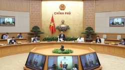 pho thu tuong trinh dinh dung nganh chan nuoi phai giam gia thit lon o muc hop ly