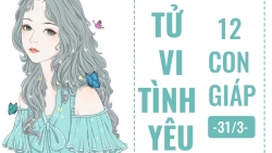 tu vi hom nay 342019 cua 12 con giap tuoi mao tim co hoi thang chuc
