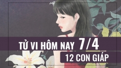tu vi hom nay 942019 cua 12 con giap tuoi mao bi trach oan