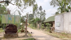 video be gai 11 tuoi lien hoan dam vao mat ten cuop giai cuu me nhu phim