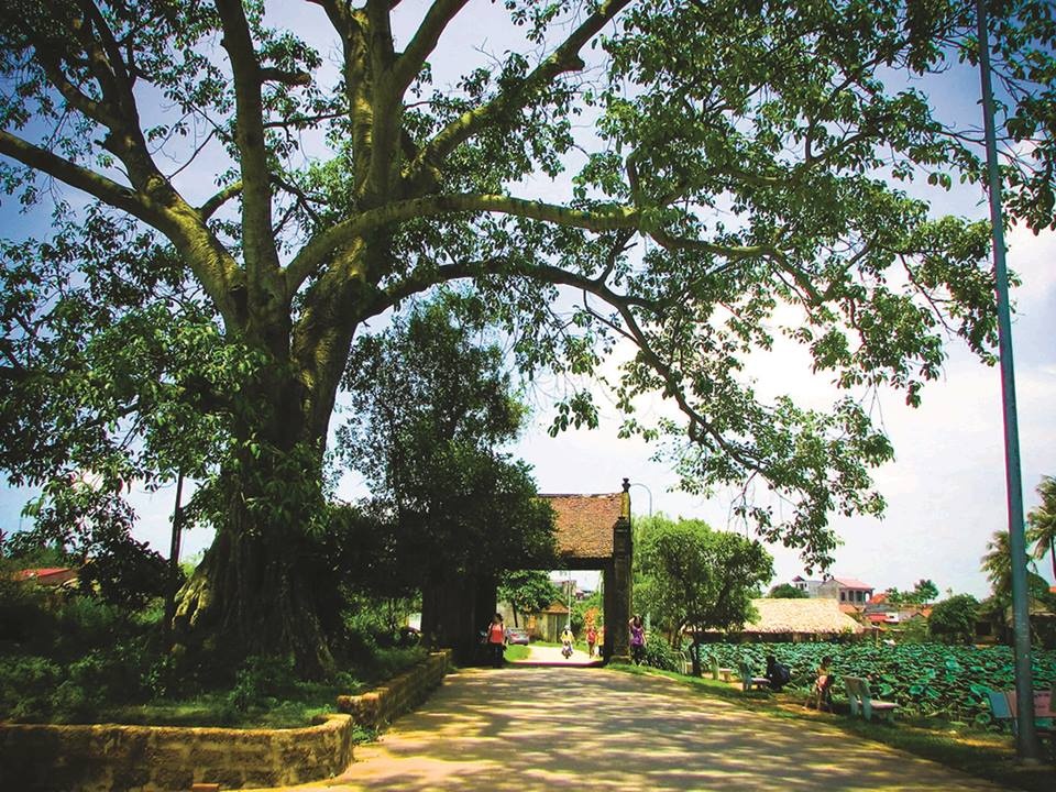 Làng cổ Đường Lâm - nơi thương nhớ ở lại lang co duong lam noi thuong nho o lai