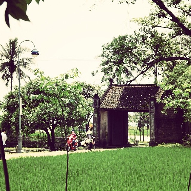 Làng cổ Đường Lâm - nơi thương nhớ ở lại lang co duong lam noi thuong nho o lai