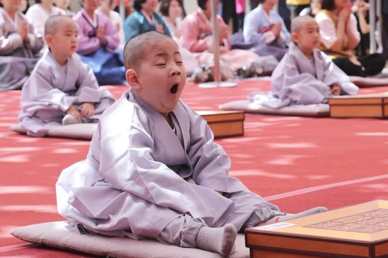 Những chú tiểu đáng yêu trong ngày xuống tóc mừng lễ Phật Đản ở Hàn Quốc nhung chu tieu dang yeu trong ngay xuong toc mung le phat dan o han quoc