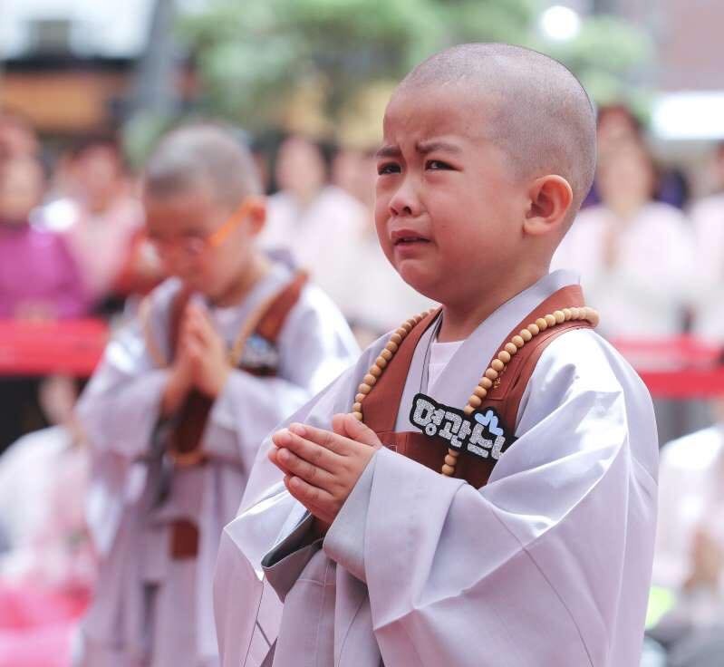Những chú tiểu đáng yêu trong ngày xuống tóc mừng lễ Phật Đản ở Hàn Quốc nhung chu tieu dang yeu trong ngay xuong toc mung le phat dan o han quoc