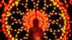 can canh khu bep co 800 tinh nguyen vien phuc vu dai le vesak 2019