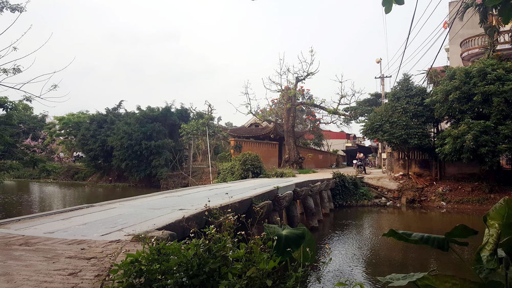Điều đặc biệt ở ngôi làng có những nhà cổ ‘bằng 3 nhà mặt phố’ dieu dac biet o ngoi lang co nhung nha co bang 3 nha mat pho