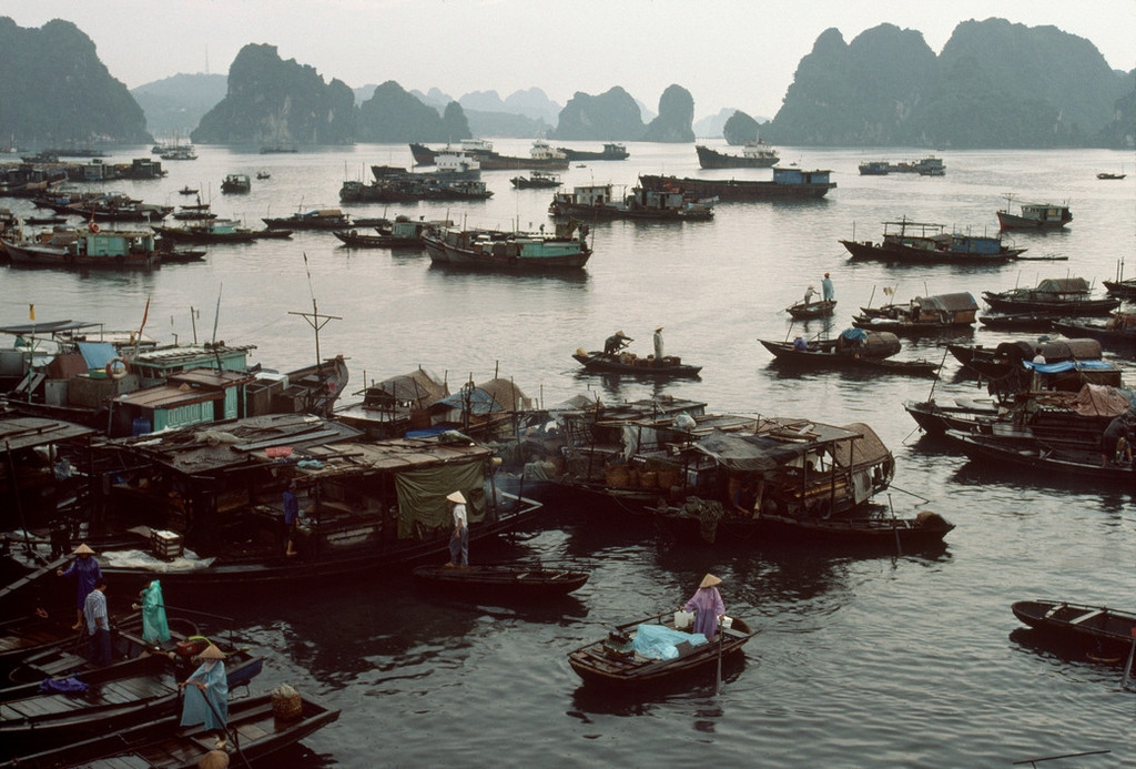 nhip song hoi ha nhon nhip o quang ninh nam 1994 1995