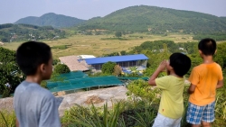 thay giao ra 6 bai tap he khien phu huynh giat minh nghi he cua con dau roi