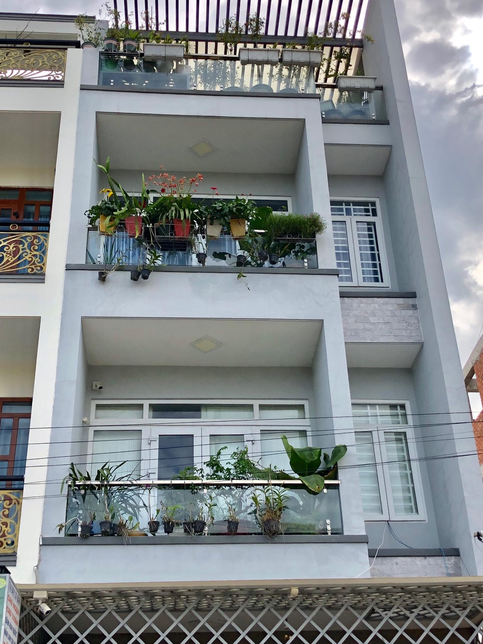 Hoa lá rộn ràng khoe sắc trong khu vườn sân thượng 70m2 ở TP. HCM hoa la ron rang khoe sac trong khu vuon san thuong 70m2 o tp hcm