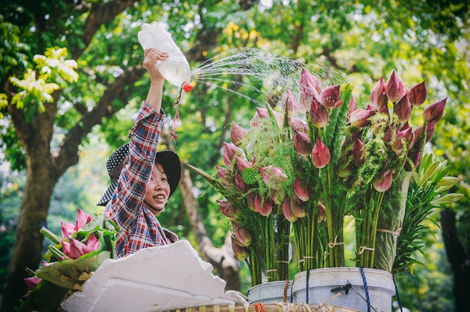 12 mùa hoa và những điều đặc biệt chỉ Hà Nội mới có 12 mua hoa va nhung dieu dac biet chi ha noi moi co