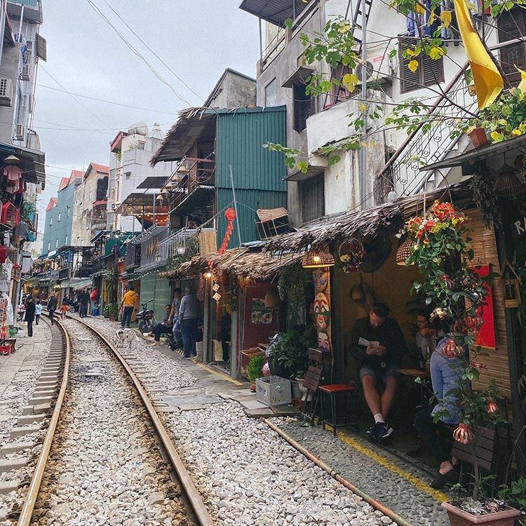 12 mùa hoa và những điều đặc biệt chỉ Hà Nội mới có 12 mua hoa va nhung dieu dac biet chi ha noi moi co