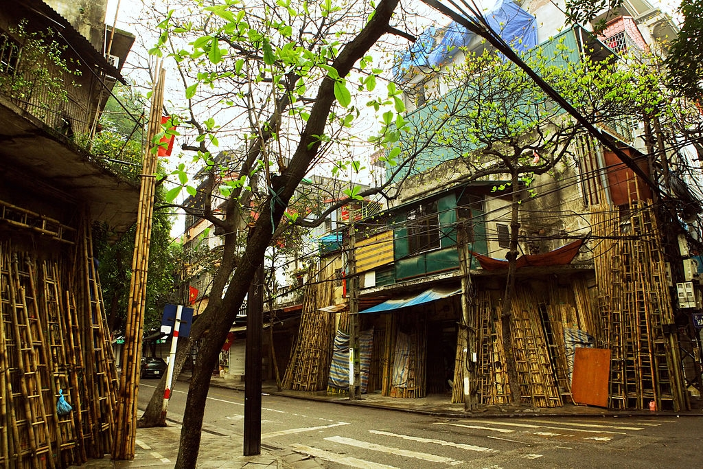 12 mùa hoa và những điều đặc biệt chỉ Hà Nội mới có 12 mua hoa va nhung dieu dac biet chi ha noi moi co