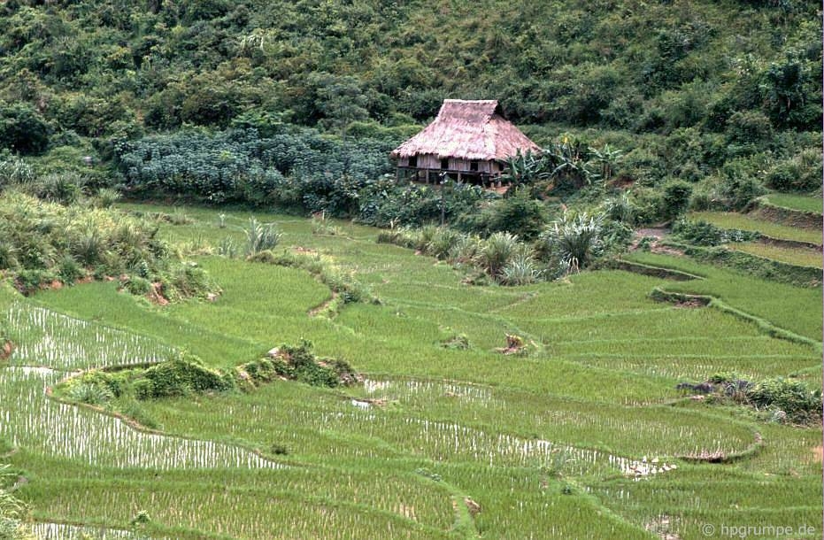 Vẻ bình yên hiếm có của Sơn La trong loạt ảnh màu những năm 1990 ve binh yen hiem co cua son la trong loat anh mau nhung nam 1990