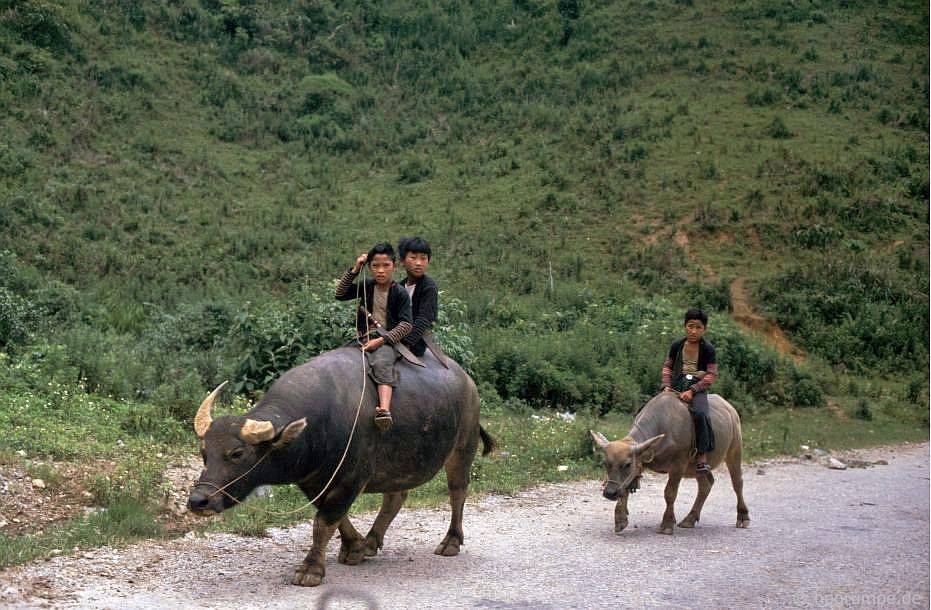 Vẻ bình yên hiếm có của Sơn La trong loạt ảnh màu những năm 1990 ve binh yen hiem co cua son la trong loat anh mau nhung nam 1990