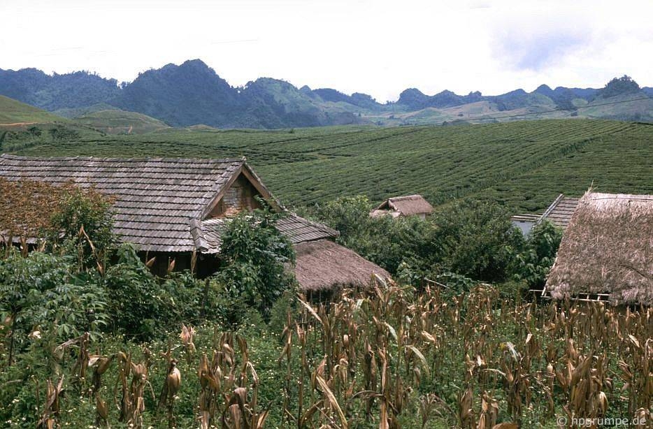 Vẻ bình yên hiếm có của Sơn La trong loạt ảnh màu những năm 1990 ve binh yen hiem co cua son la trong loat anh mau nhung nam 1990