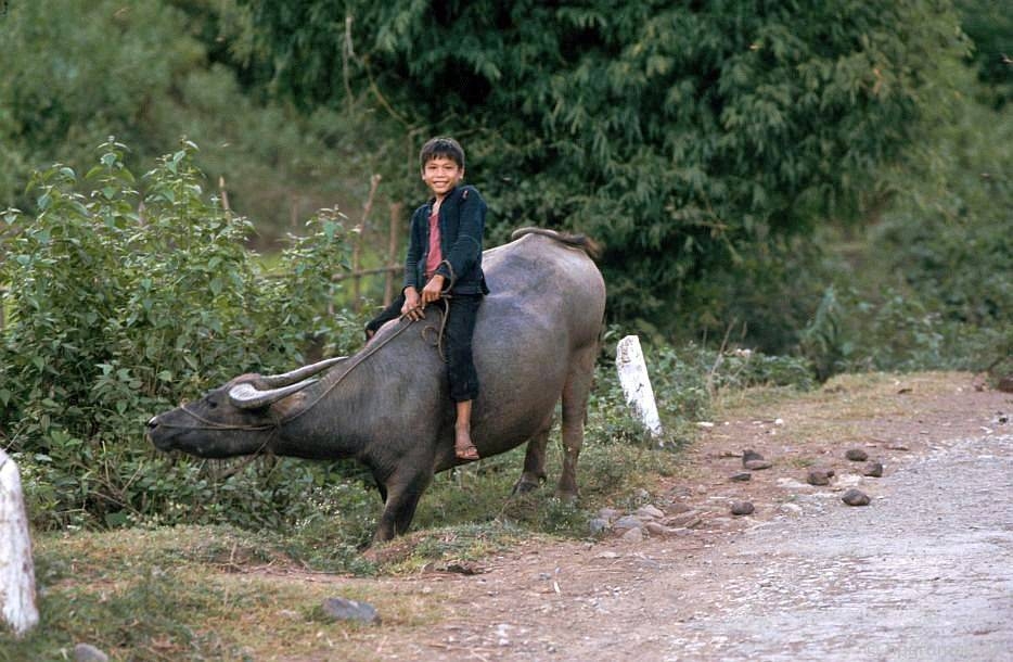 Vẻ bình yên hiếm có của Sơn La trong loạt ảnh màu những năm 1990 ve binh yen hiem co cua son la trong loat anh mau nhung nam 1990