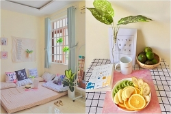 danh tinh co gai vang trong lang bung hang de shipper kho so voi 20 ly tra sua tri gia 12 trieu dong