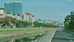vi sao chuyen gia nhat ban ngam minh trong nuoc song to lich
