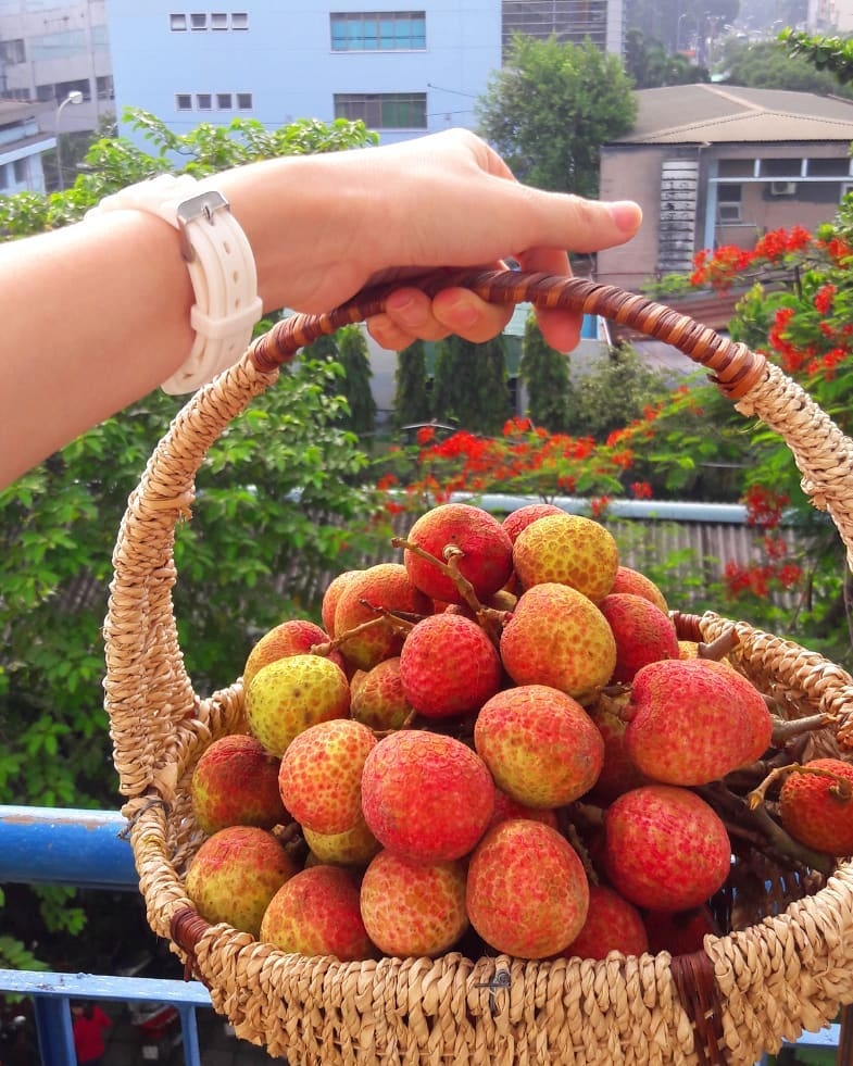 5 mặt hàng được săn lùng cận Tết Đoan Ngọ la xong banh tro va nhung mat hang duoc san lung can tet doan ngo