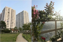 ngam vuon hong ngoai dep me hon cua uyen chi vo pate trong ve nha di con