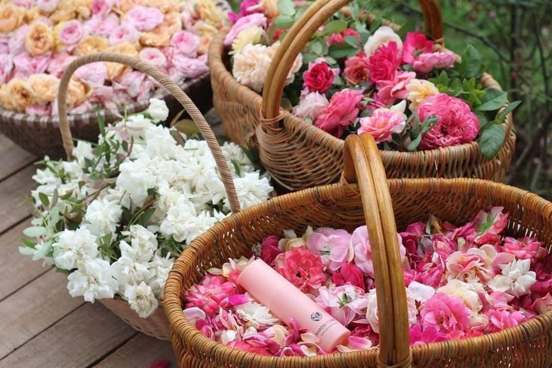 Ngắm vườn hồng ngoại đẹp mê hồn của Uyên - "chị vợ pate" trong "Về nhà đi con" ngam vuon hong ngoai dep me hon cua uyen chi vo pate trong ve nha di con