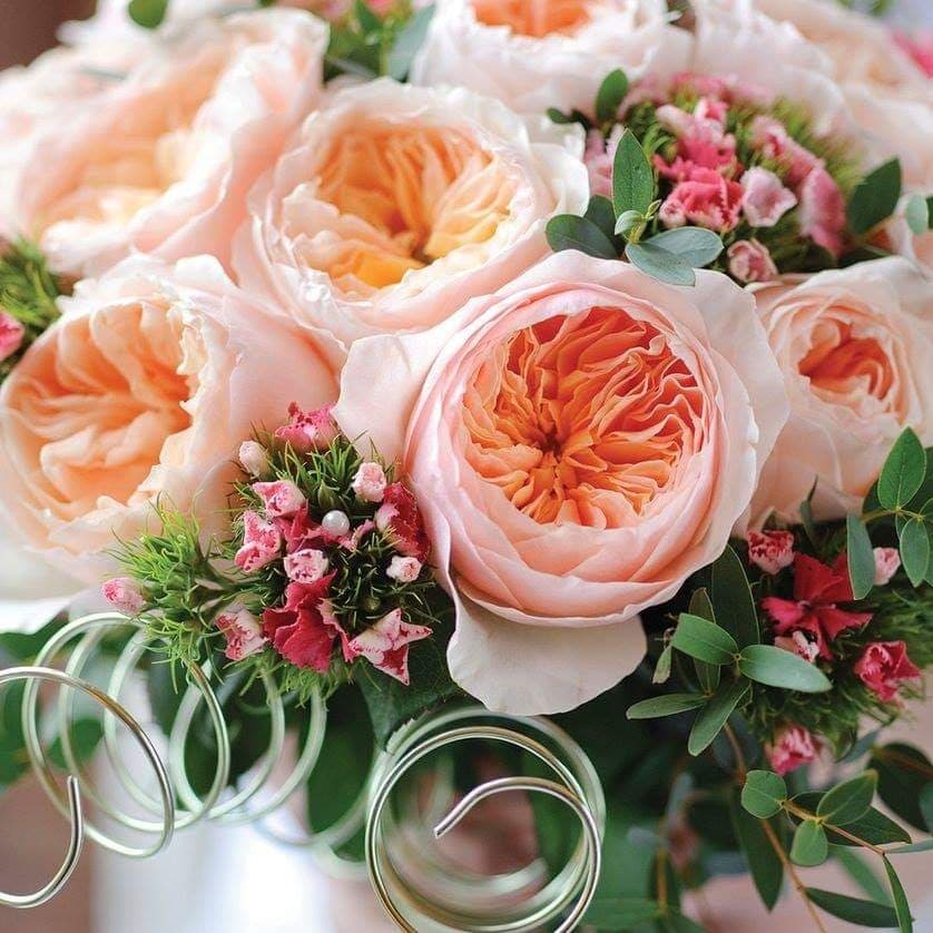 Ngắm vườn hồng ngoại đẹp mê hồn của Uyên - "chị vợ pate" trong "Về nhà đi con" ngam vuon hong ngoai dep me hon cua uyen chi vo pate trong ve nha di con