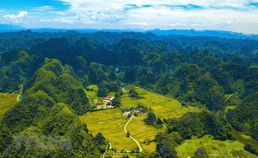 Vẻ đẹp mùa lúa chín vàng bao quanh đền cổ Thái Vi ve dep mua lua chin vang bao quanh den co thai vi