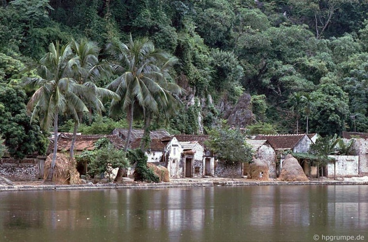 hinh anh gay thuong nho ve chua thay nam 1991