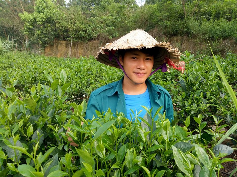 Đam mê trồng chè, ướp sen, chàng cử nhân báo chí rời thành phố về quê khởi nghiệp dam me trong che uop sen chang cu nhan bao chi roi thanh pho ve que khoi nghiep