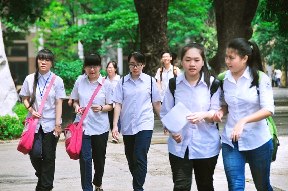 Điểm chuẩn lớp 10 tỉnh Bình Định năm 2019 diem chuan lop 10 tinh binh dinh nam 2019