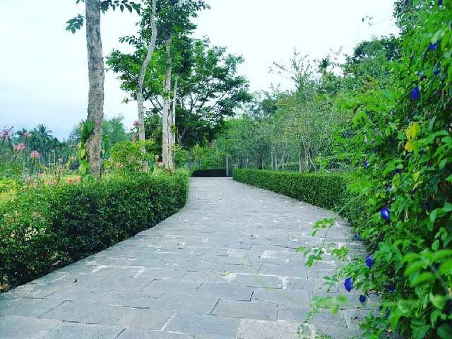 Làng cổ đẹp như tranh vẽ trên quê hương cụ Huỳnh Thúc Kháng lang co dep nhu tranh ve tren que huong cu huynh thuc khang