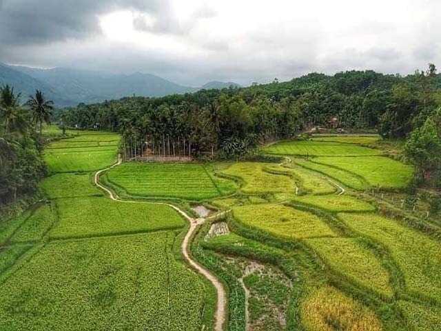 Làng cổ đẹp như tranh vẽ trên quê hương cụ Huỳnh Thúc Kháng lang co dep nhu tranh ve tren que huong cu huynh thuc khang