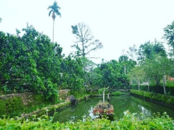 Làng cổ đẹp như tranh vẽ trên quê hương cụ Huỳnh Thúc Kháng
