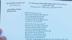 dap an de thi thpt quoc gia 2019 mon ngu van
