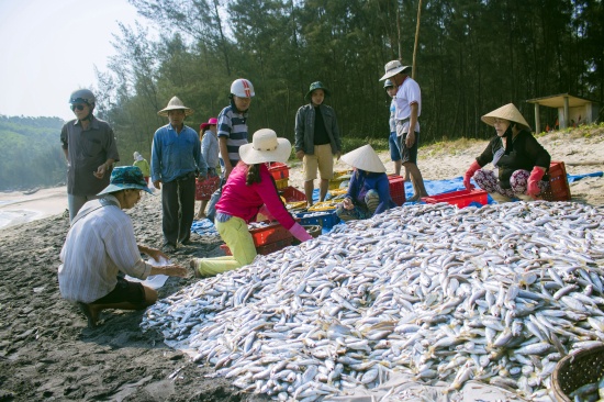 Độc đáo nghề kéo “lưới rồng” trên biển Vinh Hiền doc dao nghe keo luoi rong tren bien vinh hien