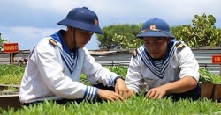 luoi ba lop khien cu lao cham vang bong rua