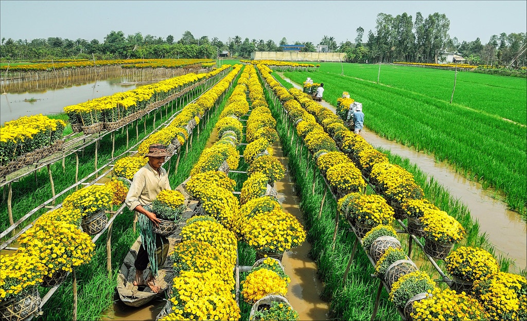 10 lang que viet nam dep co kinh nen tho nhac ten la thay tu hao