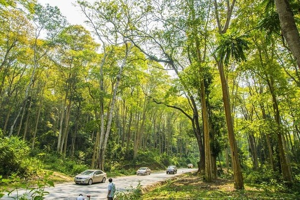 9 khu dự trữ sinh quyển của Việt Nam được UNESCO công nhận 9 khu du tru sinh quyen cua viet nam duoc unesco cong nhan