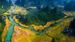 cau kinh rong may dau tien o viet nam vua chinh thuc mo cua co gi dac biet