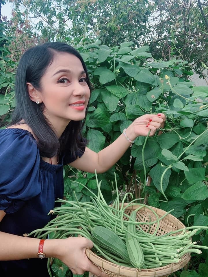 sao viet va cuoc song trong rau nuoi ga o nhung nong trai tien ty
